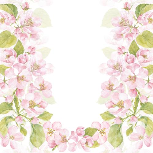 原创位图 水彩苹果花和树叶图案, 白色文字区域