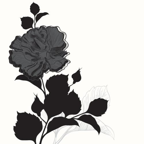 玫瑰花。矢量图 白底玫瑰与花苞、叶