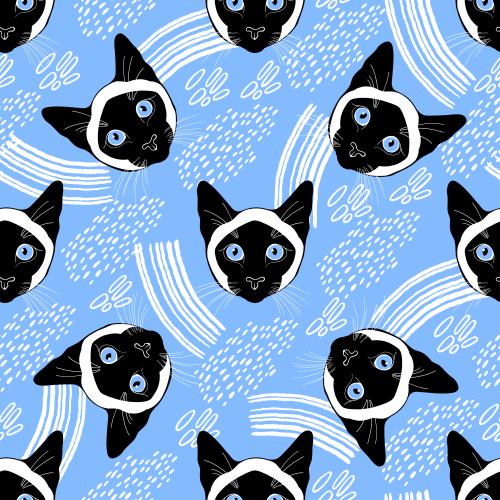 暹罗猫。矢量图 暹罗猫、可爱的面孔和蓝色装饰元素