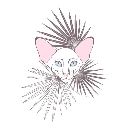 东方猫。矢量图 东方猫可爱脸和白色背景上的棕榈叶