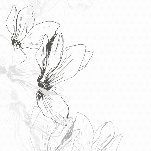 风信子。矢量图 仙客来角花插白色背景