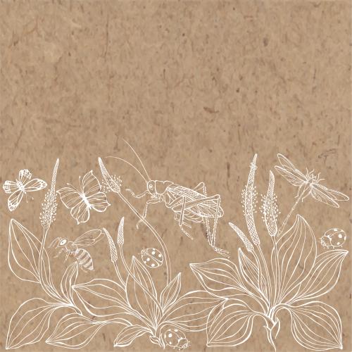 蜜蜂。矢量图 车前草, 蝴蝶, 蚱蜢, 瓢虫, 小蜜蜂, 蜻蜓, 白底文字区