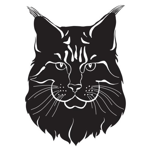 猫。矢量图 缅因库恩猫脸黑色剪影白底