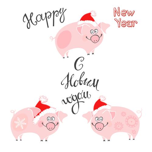 小猪。矢量图 三个卡通猪戴新年帽子，带俄英双语新年贺词