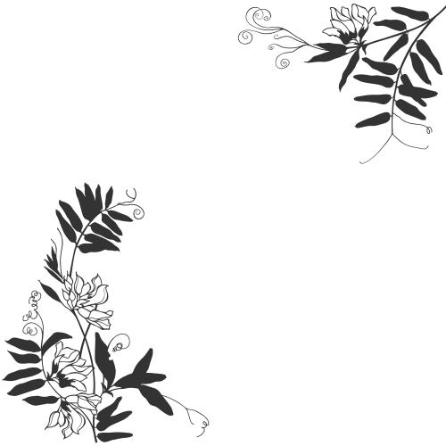 矢量图片 野花 黑色轮廓 白色文字框 角落构图