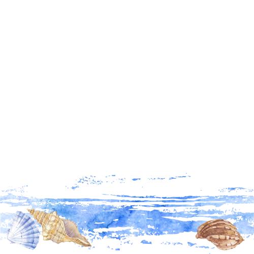 原创位图 水彩贝壳与海浪，白色背景上的文字区域