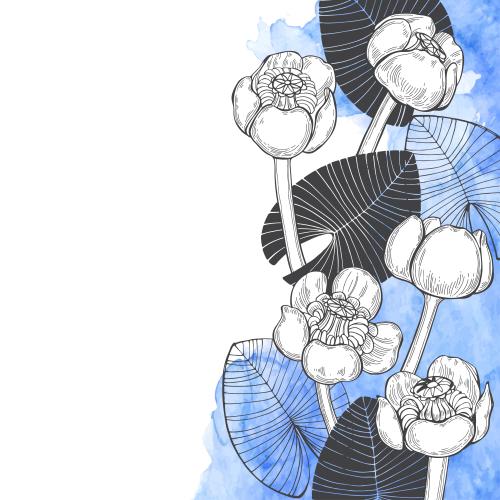 水百合矢量图下载 - 高清可商用矢量图形 水彩荷花和叶子蓝色图案，白色文字区