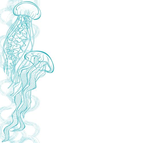 水母。矢量图 海蛰, 装饰波浪, 白色文本框