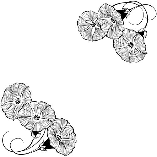 牵牛花。矢量图 旋覆花白底文字框角装饰图案