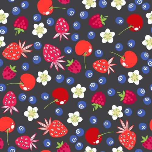 覆盆子。矢量图 黑色草莓蓝莓樱桃覆盆子和花朵