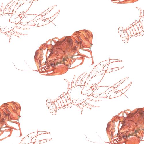 原创位图 白色背景上的水彩和线描煮熟小龙虾