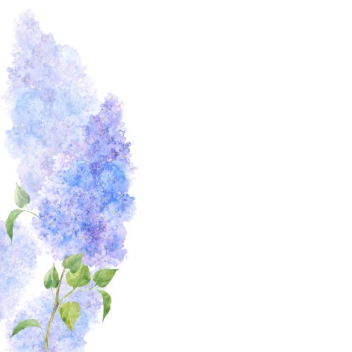 原创位图 水彩紫丁香，留白处