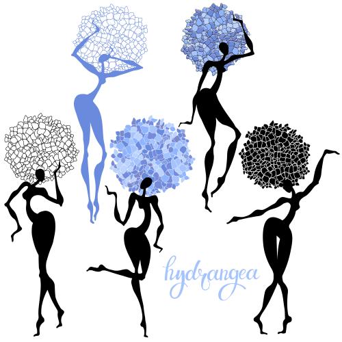 绣球花。矢量图 白底舞女绣球花