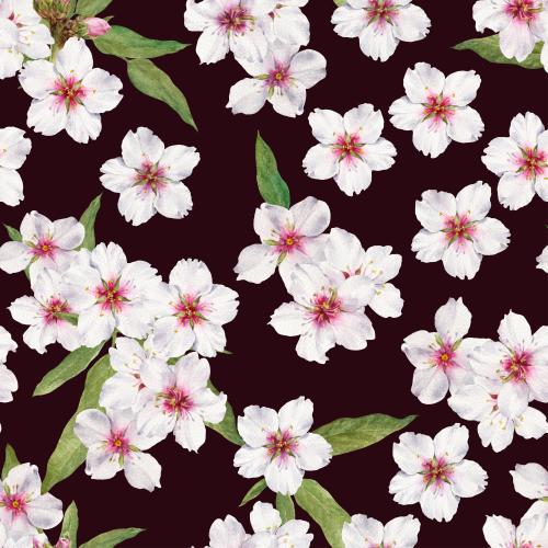  矢量图 深色背景上的水彩开花杏树