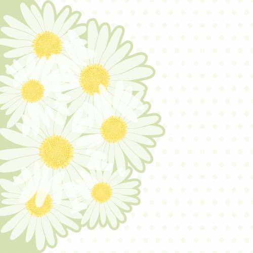雏菊。矢量图 雏菊花束在浅色背景上带波点图案并留有文字空间