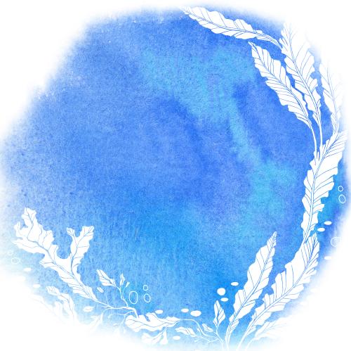 原创位图 白色海藻轮廓蓝色水彩圆形斑点带文字区