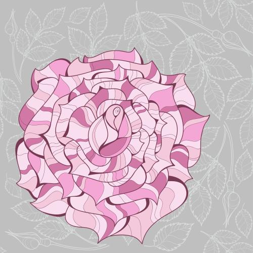 图像玫瑰花和花蕾带叶