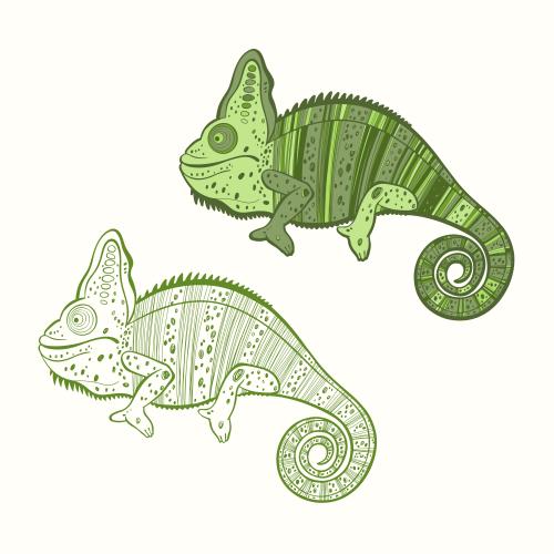 矢量图片 双款白色变色龙