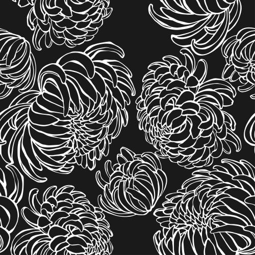 菊花。矢量图 黑底白轮廓菊花