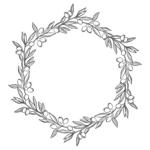 橄榄。矢量图 橄榄枝，白色相框