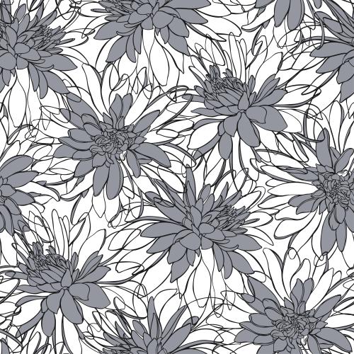黑眼苏珊花。矢量图 白底黑眼菊