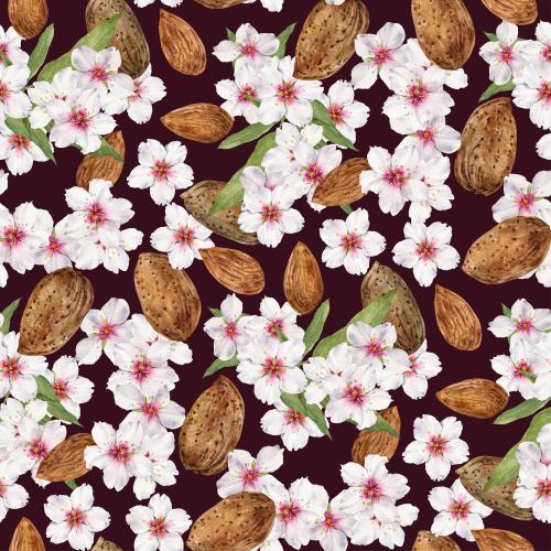 原创位图 深色背景上的水彩杏花和杏仁