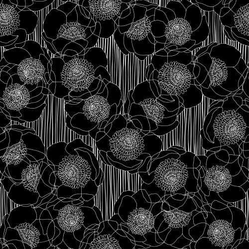 海葵花。矢量图 银莲花黑底白条纹