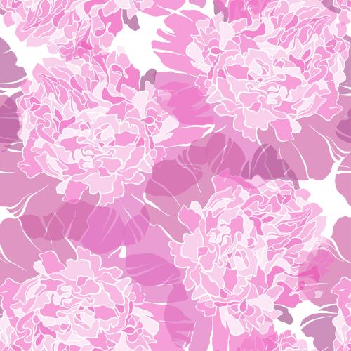 牡丹。矢量图 粉红芍药