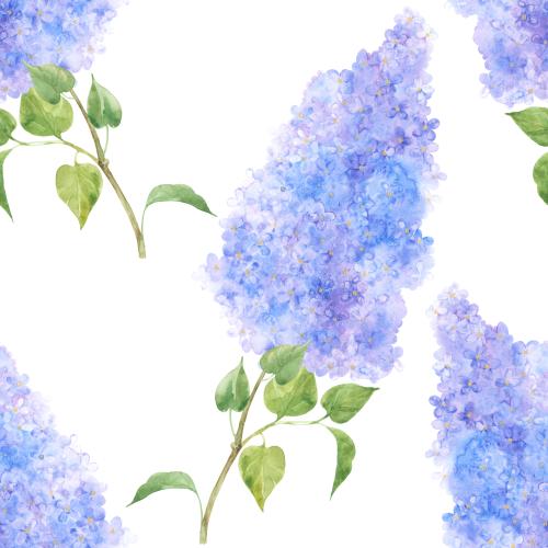 原创位图 白色水彩紫丁香枝条
