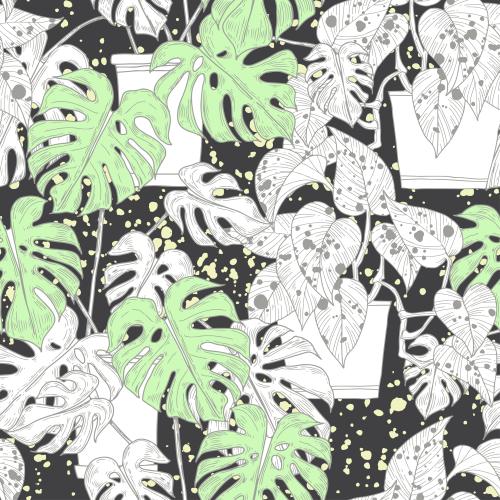 墨渍。矢量图 盆栽室内植物，黑色上的装饰图案