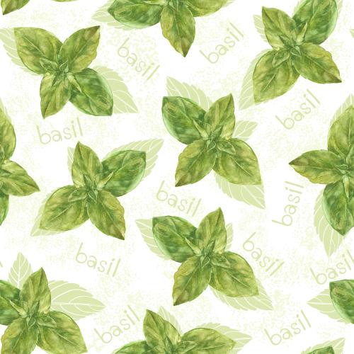原创位图 水彩罗勒，浅色质感背景上的'basil'字样