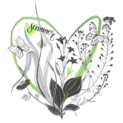 蜜蜂。矢量图 车前草, 荠菜, 洋甘菊, 风铃草, 草药, 蜜蜂与蝴蝶, 色彩元素, 夏季字样, 白底心形图案组合