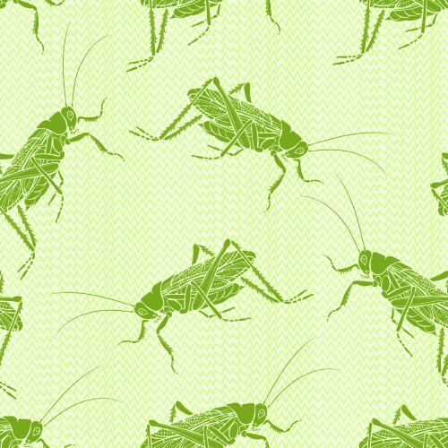 草。矢量图 绿色蚱蜢在草地上