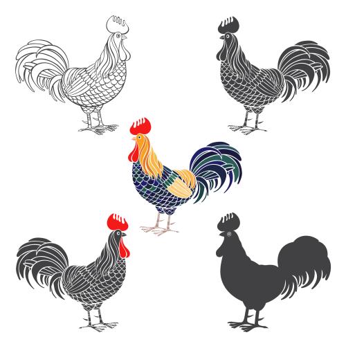公鸡。矢量图 各种白底公鸡图案