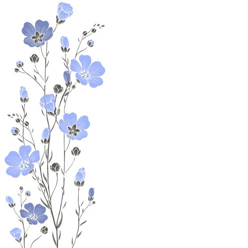 亚麻。矢量图 亚麻花卉，白色上的文字空间