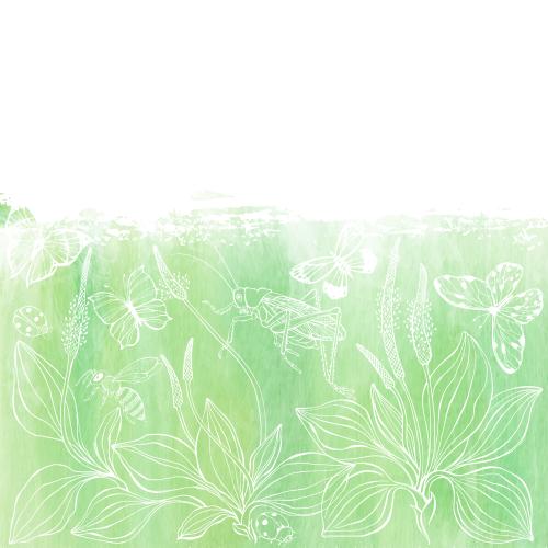 蜜蜂。矢量图 车前草，蝴蝶，蚱蜢，瓢虫，蜜蜂，绿色水彩碎片图案，白色文字区