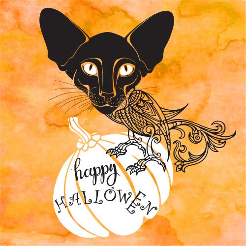 猫。矢量图 奇幻动物头部为猫，身体为鸟，坐在南瓜上，带有Happy Halloween字样，橙色水彩背景