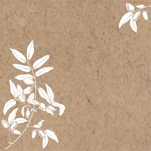 忍冬花。矢量图 忍冬，白色浆果枝条的轮廓，卡纸文字预留，角落构图