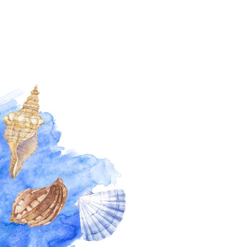 原创位图 水彩贝壳套装，蓝色水彩碎片，白色文字区域