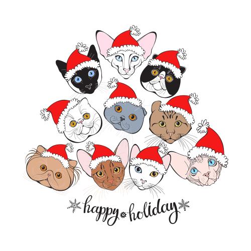 卷耳猫。矢量图 白底毛绒绒的猫咪脸戴圣诞帽，标有节日快乐和Happy Holiday字样
