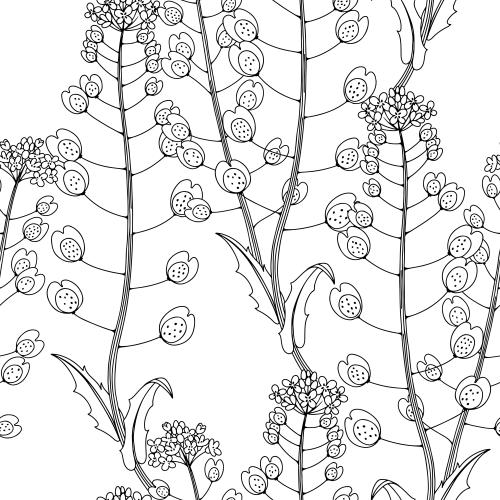 草。矢量图 白底野花轮廓