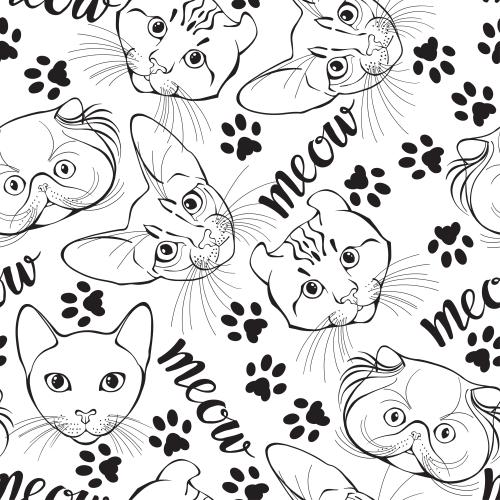 卷耳猫。矢量图 不同品种的猫咪面部轮廓、爪印花及白色背景上的喵文案