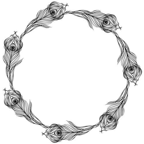 羽毛。矢量图 圆形的孔雀羽毛相框