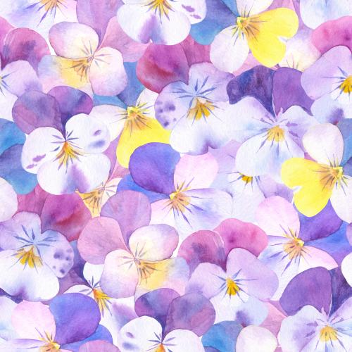 原创位图 水彩三色堇