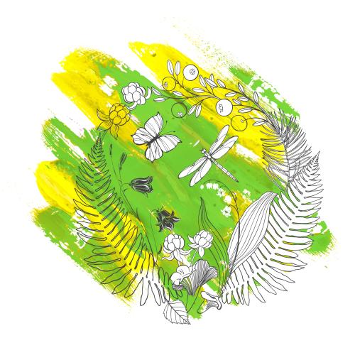森林。矢量图 圆形森林组合：蕨类植物叶片，风铃草花，铃兰，云莓，蔓越莓，鸡油菌，蜻蜓与蝴蝶造型，色彩绚丽的艺术装饰
