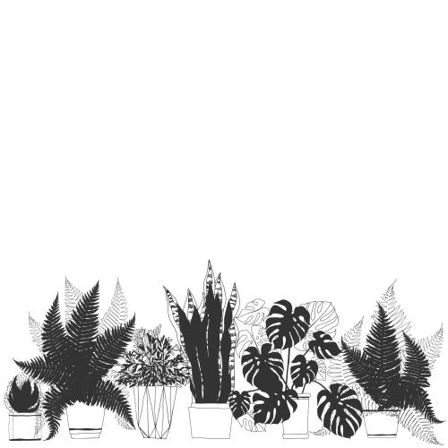 仙人掌。矢量图 盆栽植物在花盆 白色留白区