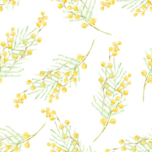 原创位图 水彩含羞草小枝白色背景