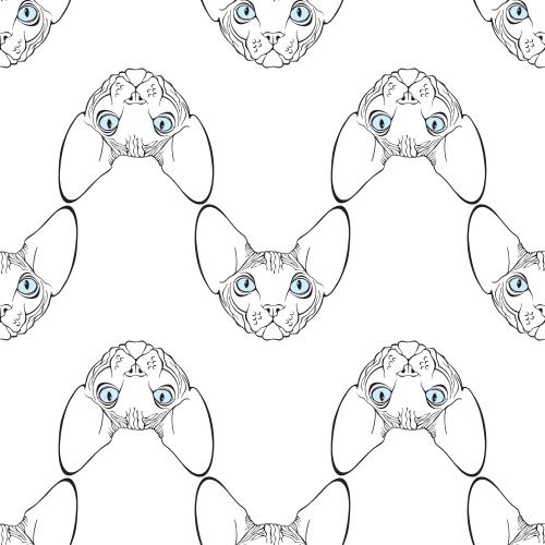 无毛猫。矢量图 无毛猫可爱脸部特写白底