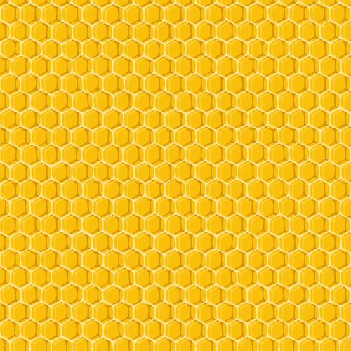 蜂巢。矢量图 黄色背景的蜂巢