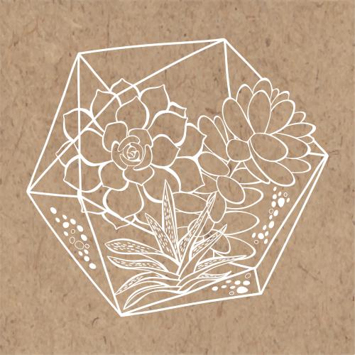 多肉植物。矢量图 手工多肉玻璃缸